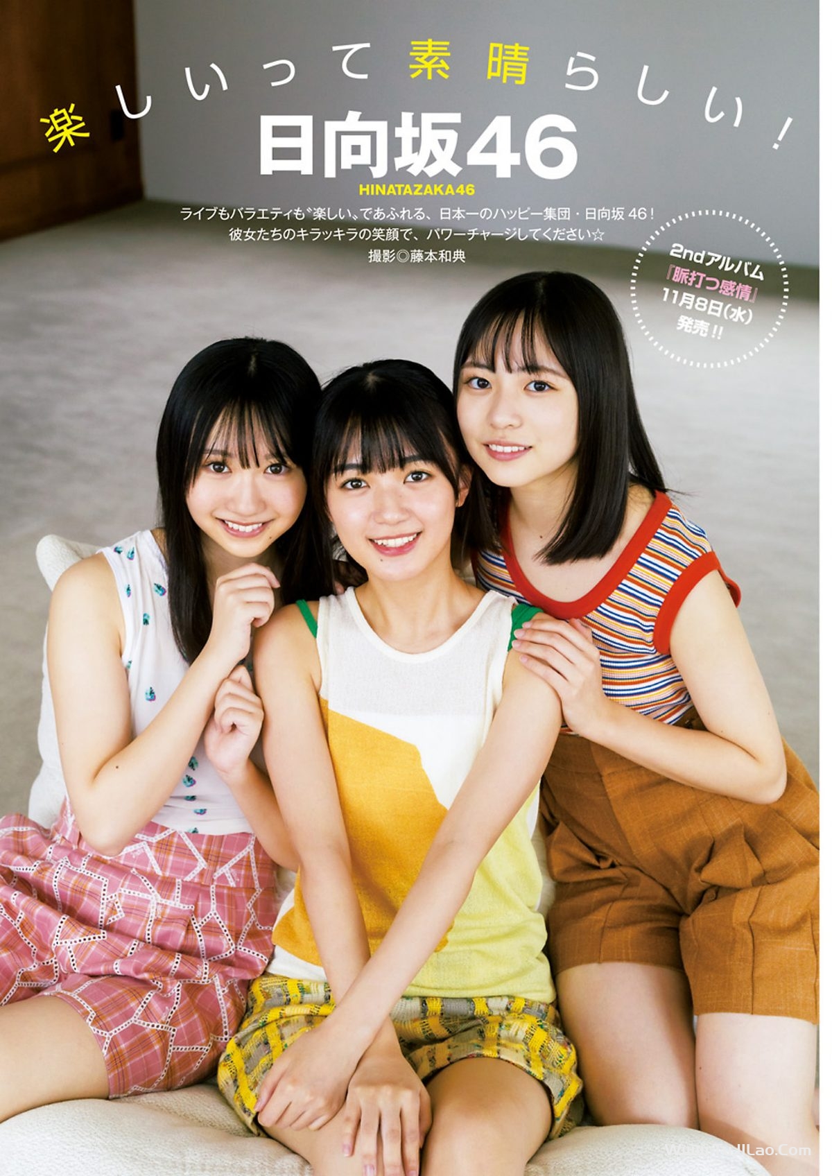 Weekly Young Jump 2023 No.49 日向坂46 Nodoka Shizume 鎮目のどか x Misaki Nako 岬なこ