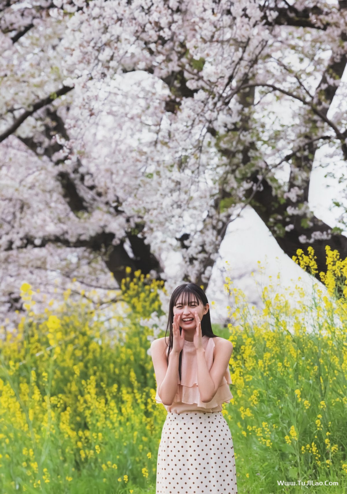 乃木坂46 Sakura Endo 遠藤さくら 1st写真集 可憐 B