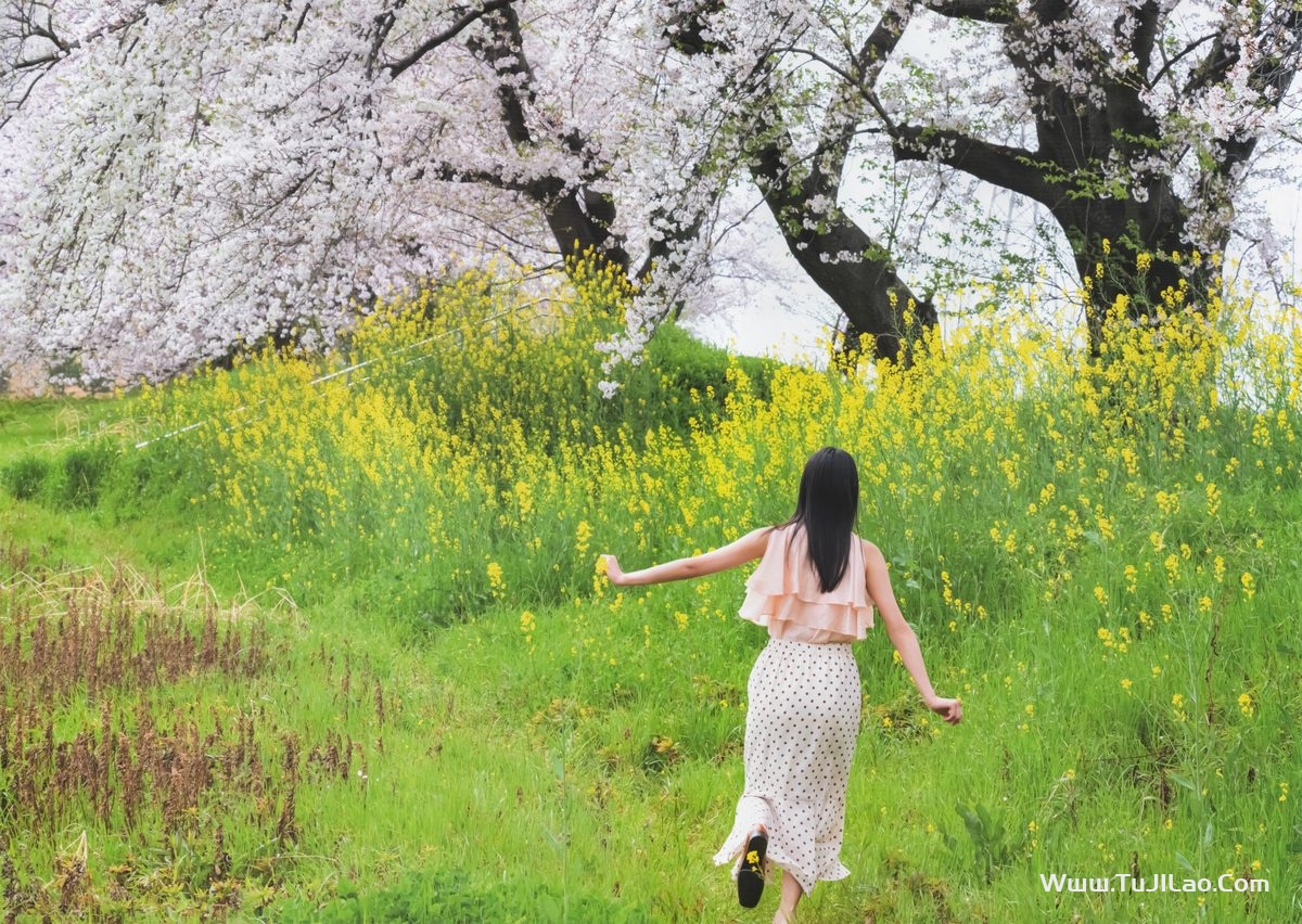 乃木坂46 Sakura Endo 遠藤さくら 1st写真集 可憐 B