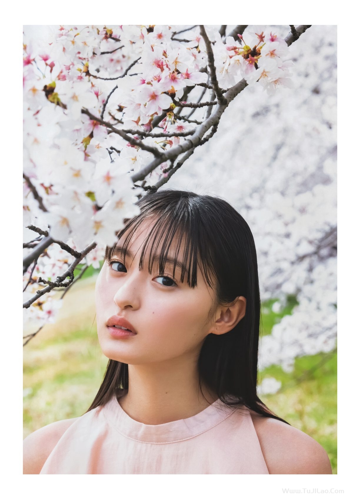 乃木坂46 Sakura Endo 遠藤さくら 1st写真集 可憐 B