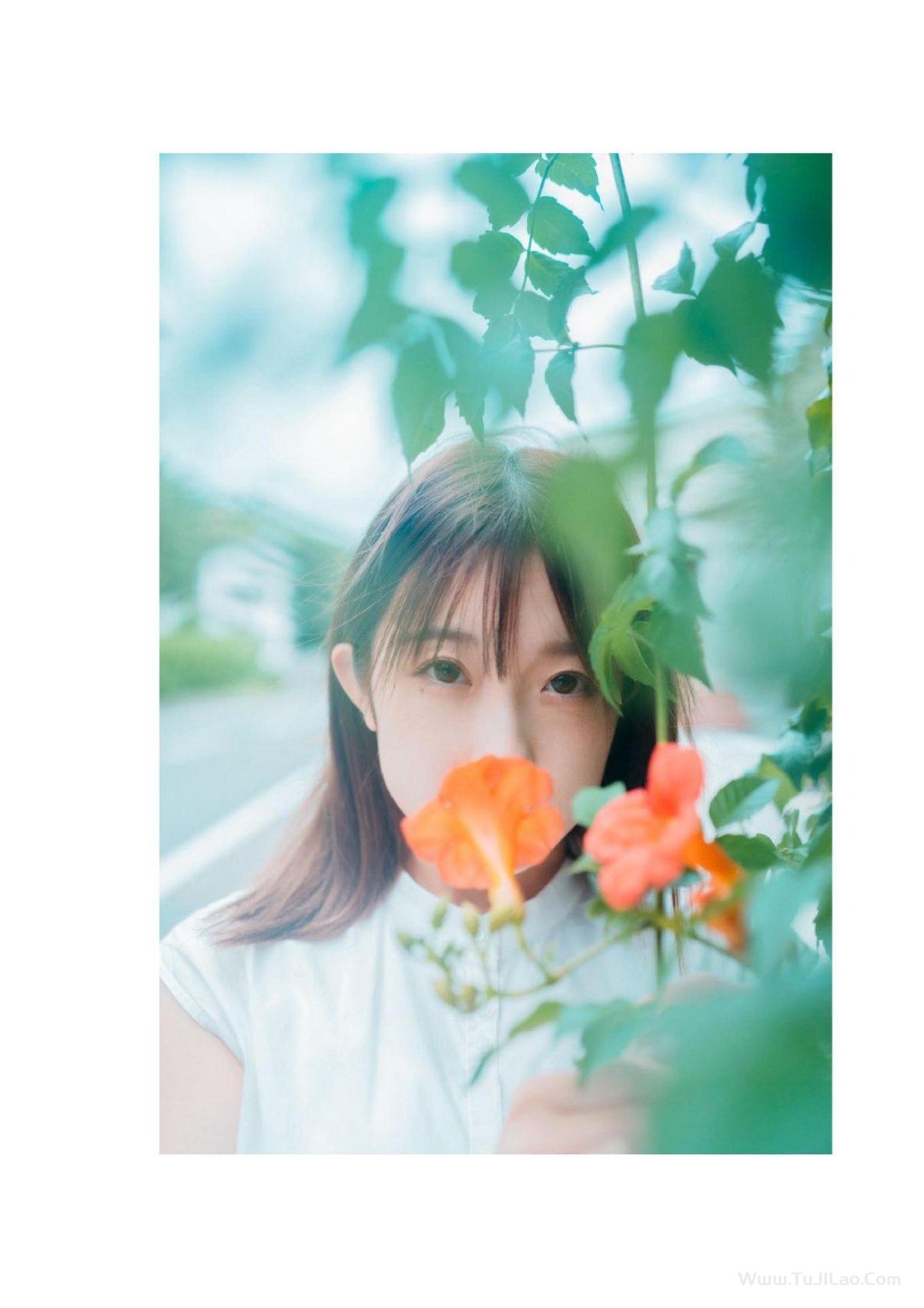 Photobook 旬 大河ももグラビア写真集 Wunder_Publishing_House A